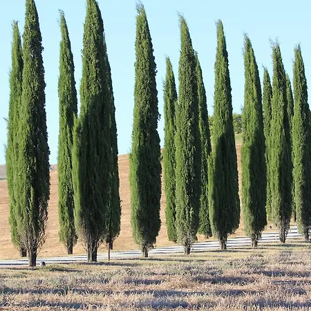 La Terrazza Sulla Val D'orcia Castiglione d'Orcia